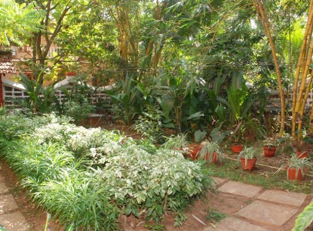 Pinto Guest House Candolim Exteriör bild